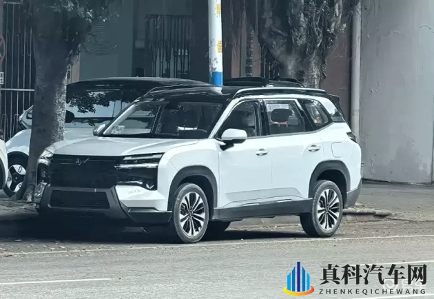 乌兰图雅的pb多大:汽车性能解析:PB值惊人,乌兰图雅PB实力抢眼-1