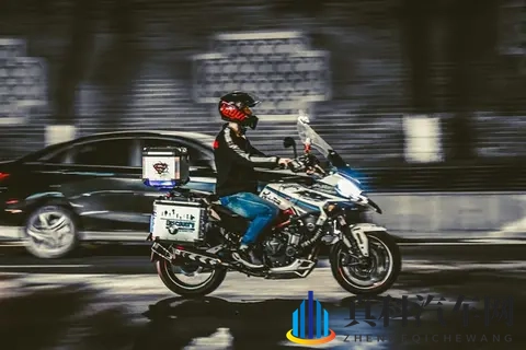 久久久99品牌的特色产品：探寻久久久99品牌独有魅力之作-2