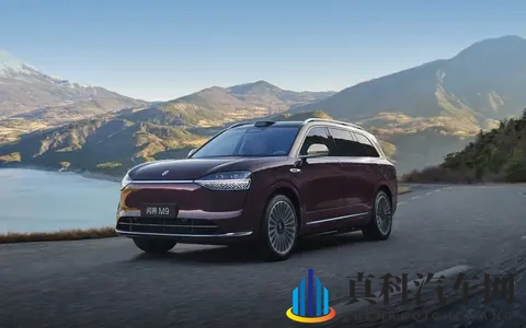 赛力斯是中国车企最大IPO？不，它是一场更疯狂的资本神话！-2