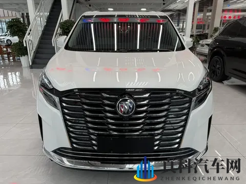宜商宜家好选择,准新一手别克GL8陆尊-3
