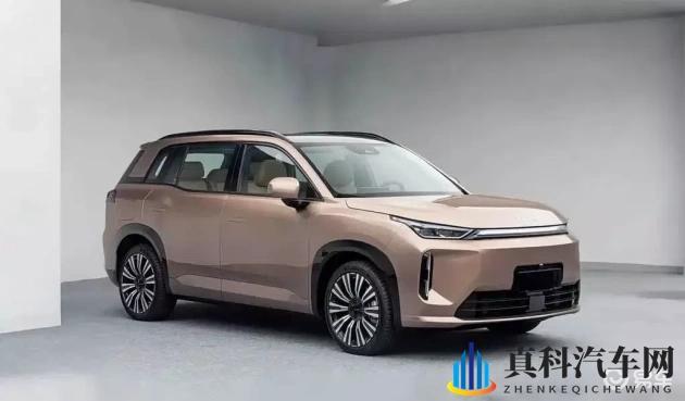 最好看的中文2019年：2019年度必看中文精选盘点-2