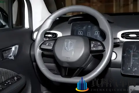 续航403km+快充，这款车凭什么成5万级代步车？-3