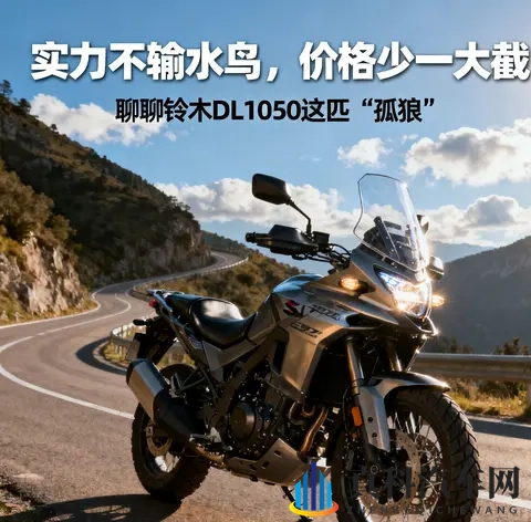 实力不输水鸟 价格少一大截 聊聊铃木DL1050这匹孤狼-3