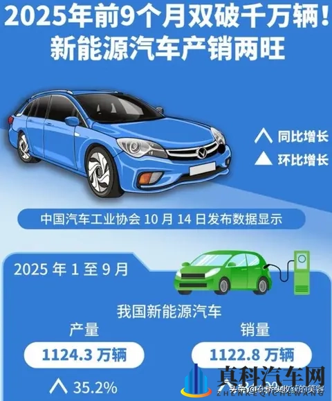 亚洲男人与雌性宠物交H2：汽车市场新趋势：宠物喜好如何影响购车选择？-3