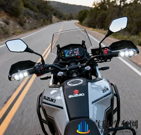 标配VVT TCS 续航500km 2025款铃木DL250升级后依旧能打-2