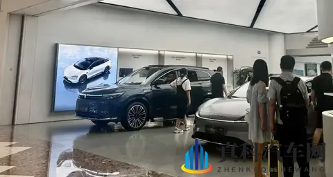 女海王卢珊珊失恋:豪车人生突变,失恋女星反思生活-3