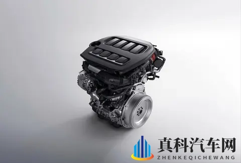 想养活EA888,省下几万修理费?20年老师傅的避坑秘籍!-2