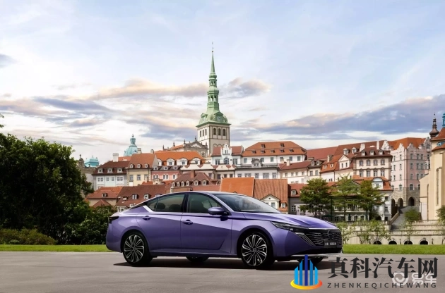 丁丁一进一出：新能源汽车崛起，汽车市场变革大幕拉开-1