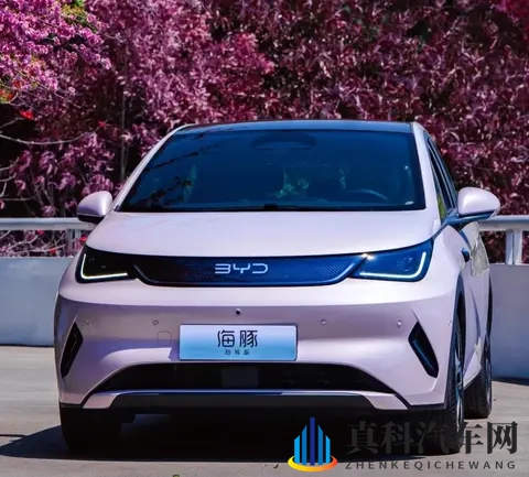 海豚优缺点大实话：买菜接娃超顺手，长途出行就露怯-2