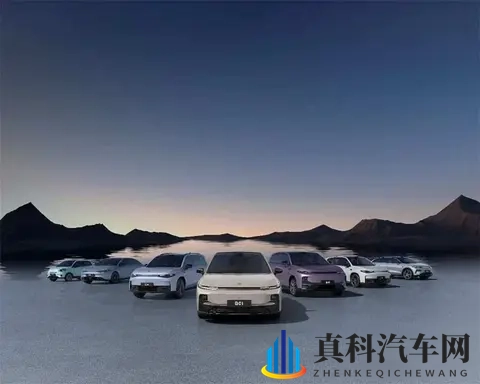 新能源车主喊贵，保险公司也头疼，这账到底怎么算的-2