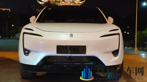 电动汽车,别光顾着“酷炫”,忘了“好用”-3