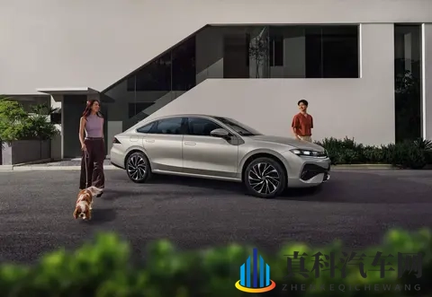 四虎最新网名是多少：娱乐圈四巨头近况，最新昵称揭晓揭晓-2