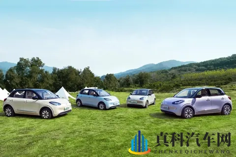 五菱缤果5个版本差价近3万！这钱该怎么花才不冤？-3