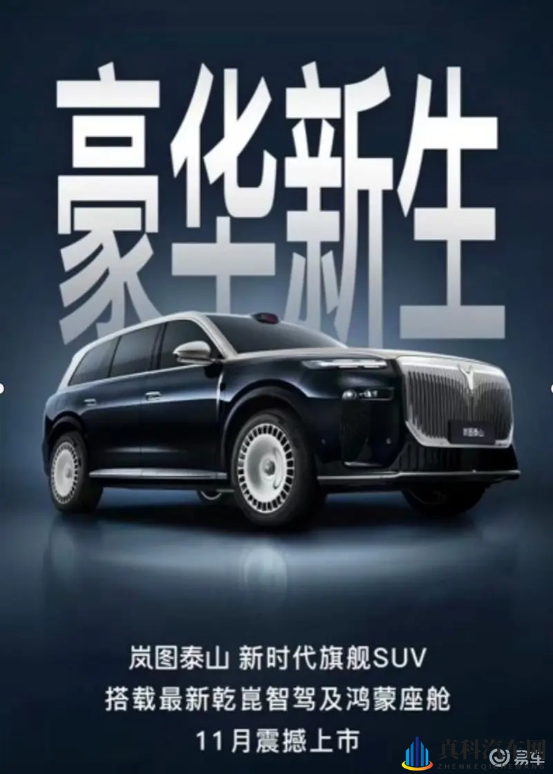 小蓝全球最好的钙片ag:汽车安全健康新选择,科技环保领航未来-1