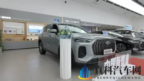 前三季度销量超200万辆！到底谁在买奇瑞？听听销售顾问怎么说-3