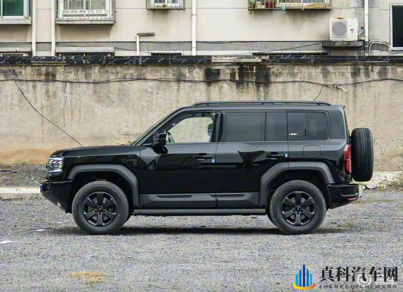 细节焕新不丢野性,豹5长续航版-1