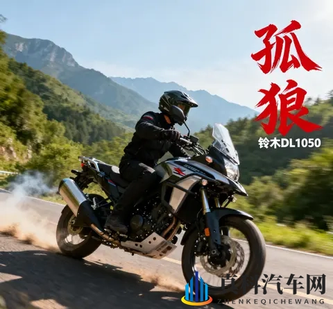 实力不输水鸟 价格少一大截 聊聊铃木DL1050这匹孤狼-2