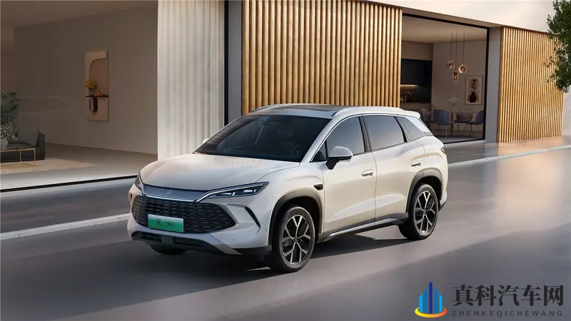 双车焕新刺激敏锐的市场，比亚迪宋家族重写价值定义-1