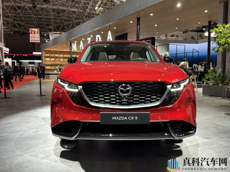 哆啪啪啪：欢乐跳动，音符跳跃声声响-2