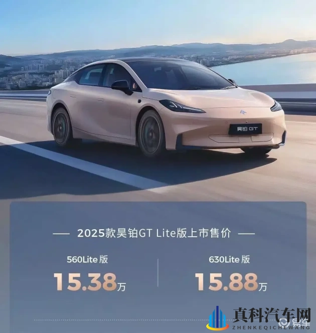 国产成人电影：科技驱动，国产汽车崛起引领新潮流-1