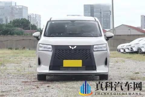 星光730，768万起开启预售，7座MPV，一车3动力插混纯电燃油可选-1