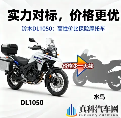 实力不输水鸟 价格少一大截 聊聊铃木DL1050这匹孤狼-1