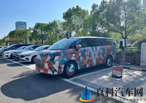 一字马憋着尿练五小时舞蹈:极致驾控,揭秘性能车的严苛修炼-1