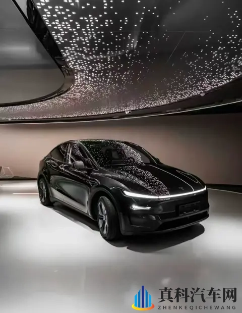 特斯拉Model Y长续航后驱版上市！2885万起，续航达821公里-2
