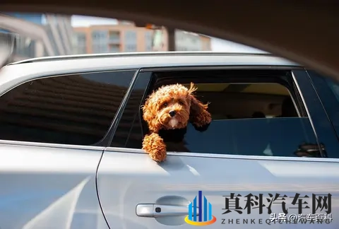 为什么坐车晕车，自己开车就不晕？-3