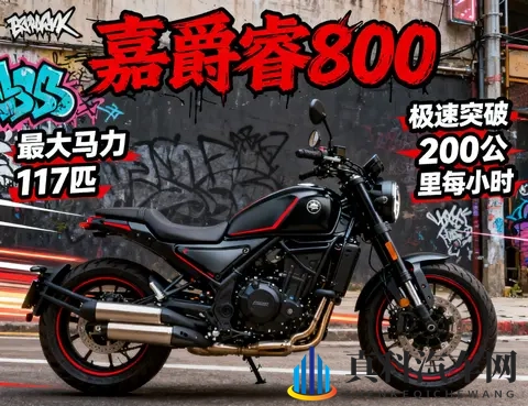 国产摩托内卷王炸 4款中排巡航 四缸车实测 最低269万 马力最高117匹-3