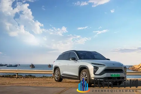 2025 全球新能源汽车 Top10：中国 4 席领跑，特斯拉增速仅个位数-2