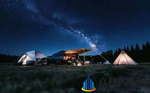 十大黄色软件下载：新能源汽车时代，绿色出行趋势崛起-2