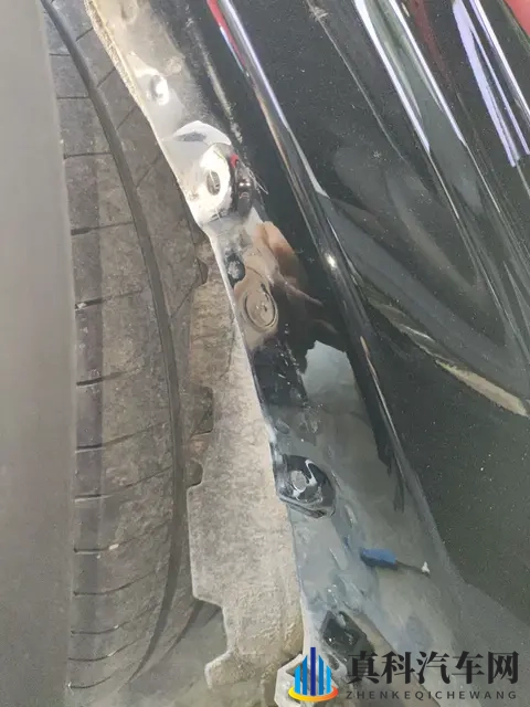 美女脱衣服视频软件：娱乐跨界新潮流，汽车品牌玩转互动新体验-3