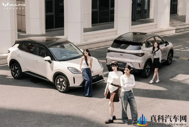 男生和女生搞基视频软件:同性互动视频应用平台-3