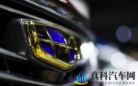 西方车企跑路，中国车企白捡大便宜！-3