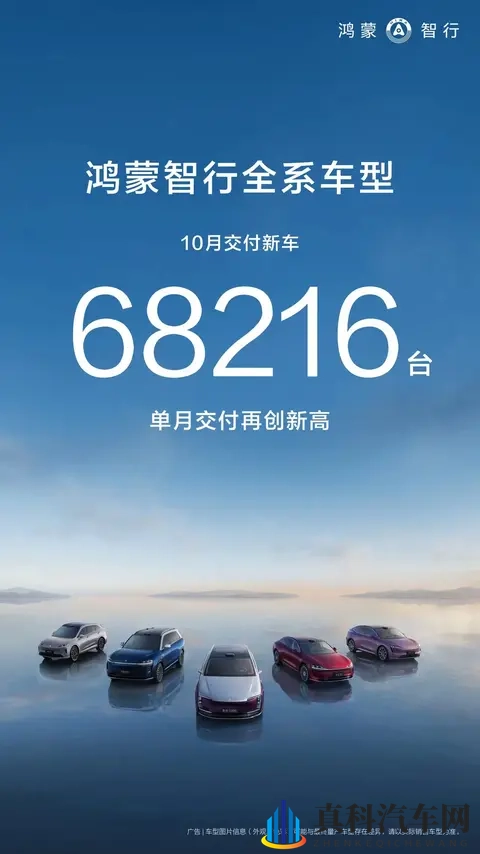 以2024年及2025年10月销量预测今年11月和明年10月新势力销量榜单-3