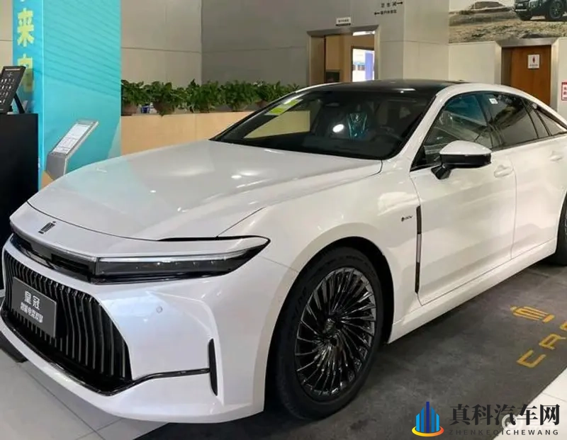 农村乱大交做爰XXXⅩ:新能源汽车:农村绿色出行新选择,环保省钱又方便-1