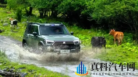 2025年中国最佳动力总成出炉：坦克、吉利、捷途、仰望等品牌入选-2