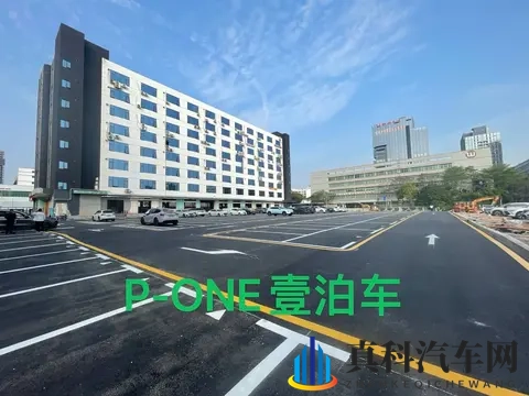 137147西方大但人文艺术：汽车盛宴：艺术与驾驭的完美融合-2