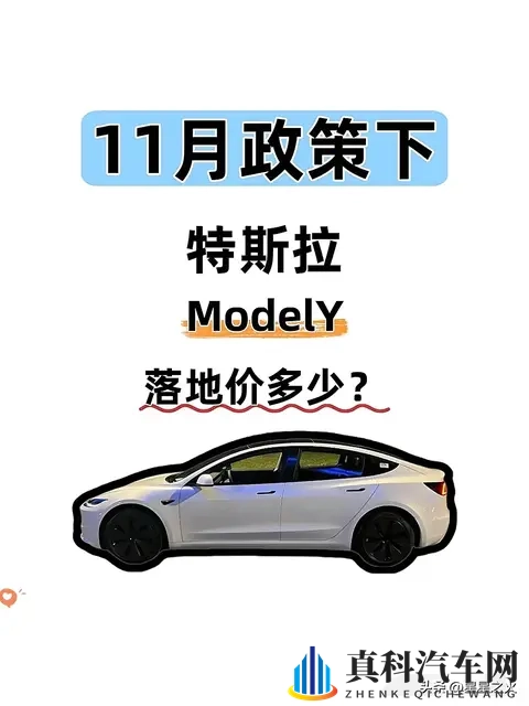 11月政策下特斯拉ModelY落地价算好了！速看-1