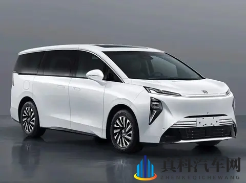 五菱别克小鹏齐上阵,MPV不再只给老板坐,家庭出行悄悄变了天-1