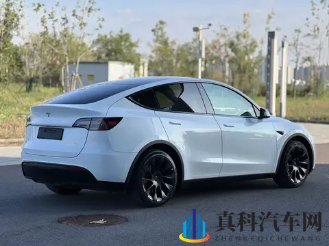 17万多入手准新特斯拉Model Y，都市代步优选-2