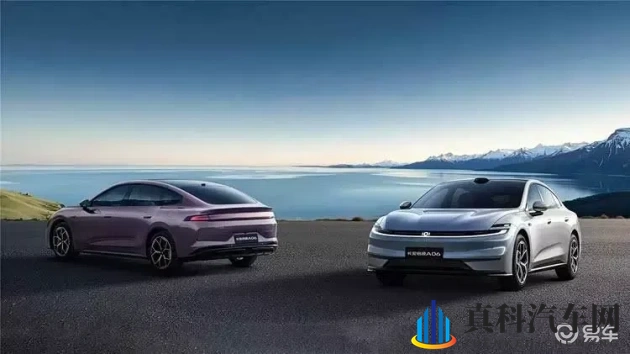 爱情岛论坛vip永久入口:爱情岛VIP专区,畅享永久通行证-1