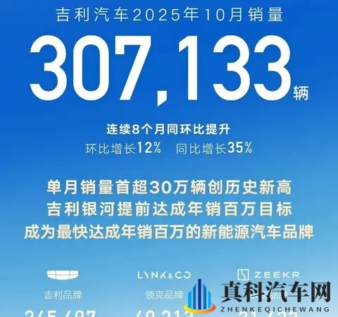 中国新能源汽车市场大混战：零跑杀出黑马比亚迪吉利打的火热-2