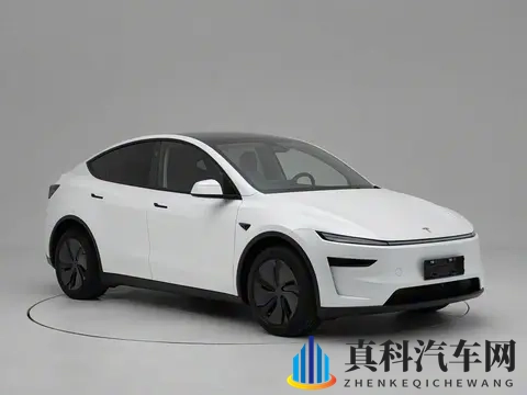 特斯拉Model Y长续航后轮驱动版上市 ，售价2858万元-1