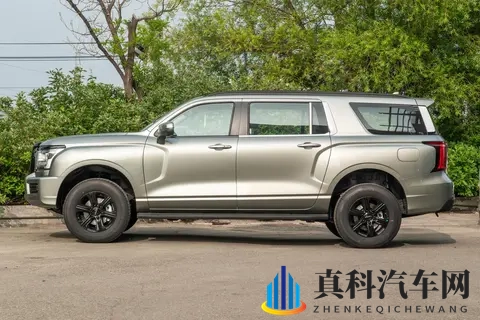 能拉货能越野，价格是坦克300的一半，配20T+8AT，分时四驱-3