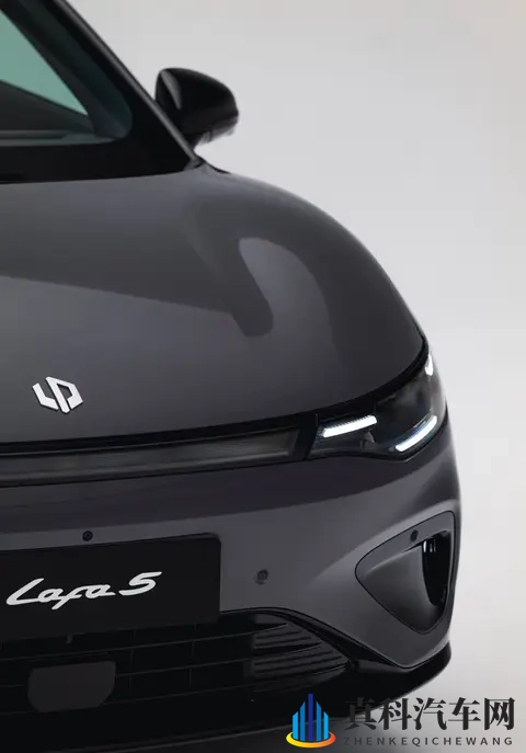 零跑要发新车年轻人可高兴坏了-1