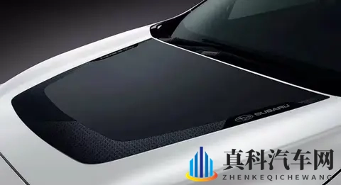 限量500台！ 斯巴鲁Crosstrek Wilderness Edition官图，专供日本-1