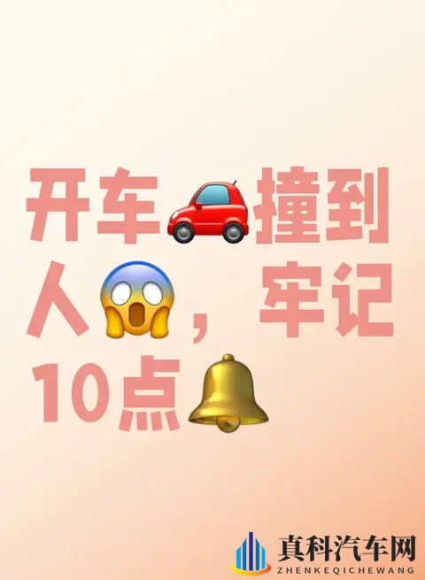 开车撞到人,牢记10点-1