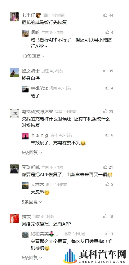 威马复活,一场“闹剧”or“爽剧”?-3